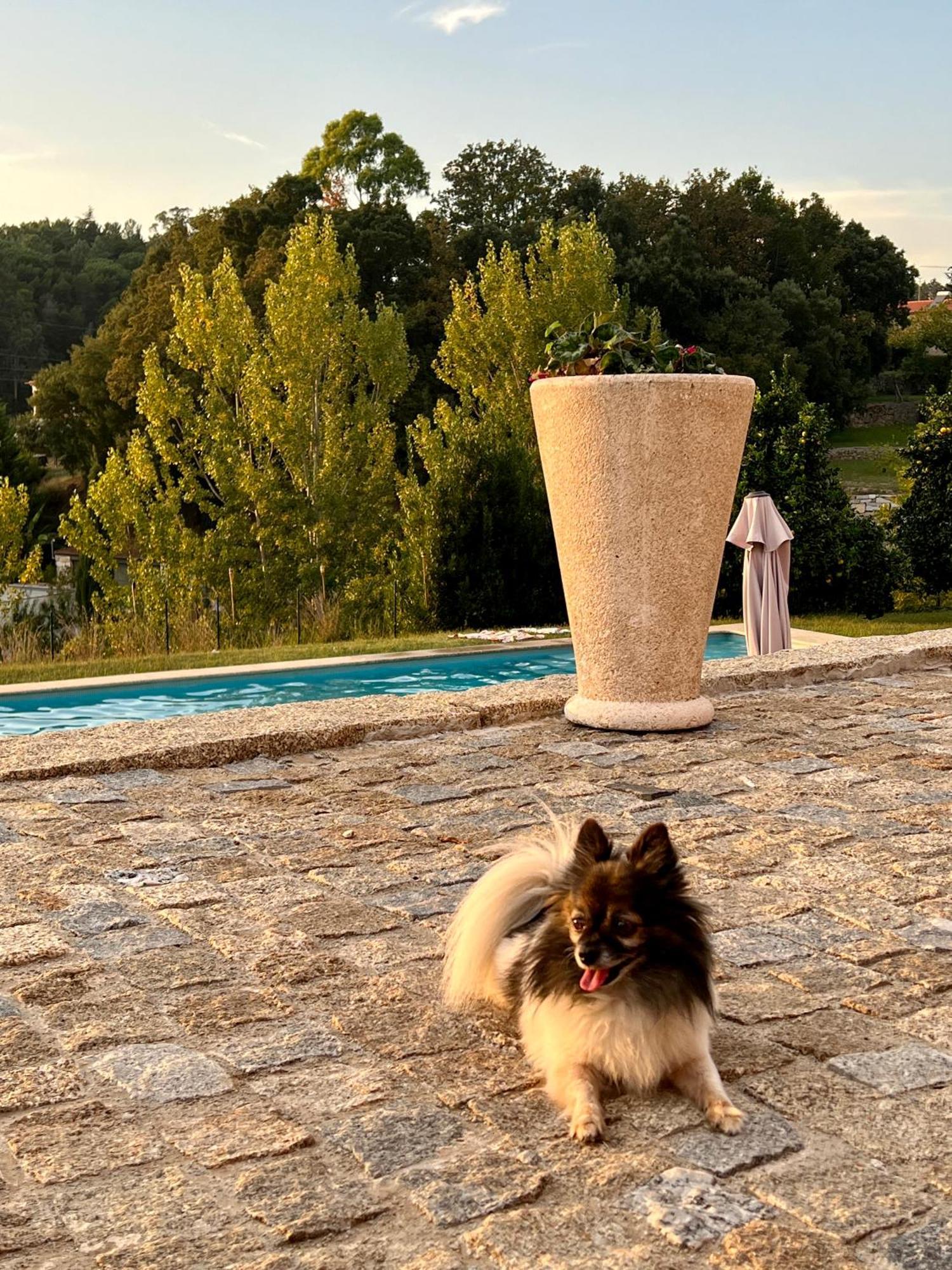 Quinta De Villasete Alpendurada Zewnętrze zdjęcie