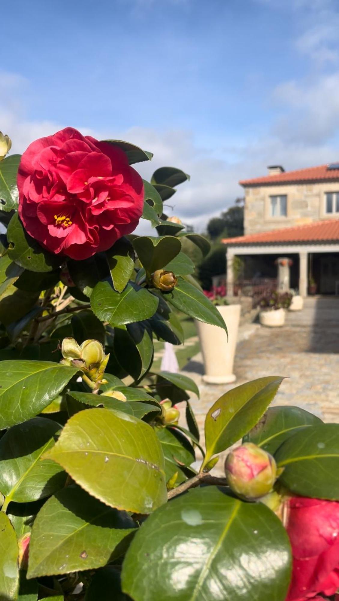 Quinta De Villasete Alpendurada Zewnętrze zdjęcie