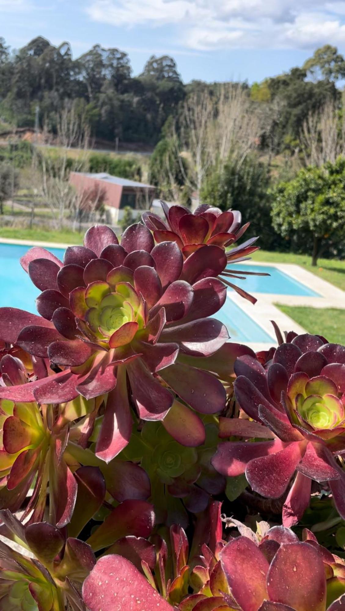 Quinta De Villasete Alpendurada Zewnętrze zdjęcie
