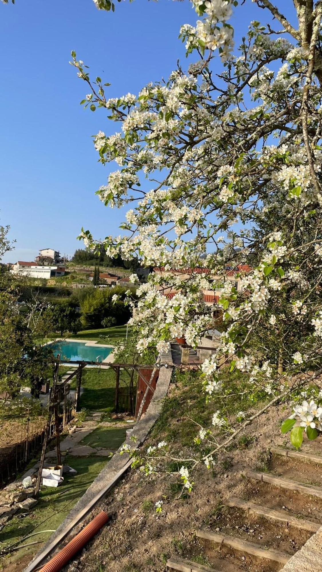 Quinta De Villasete Alpendurada Zewnętrze zdjęcie