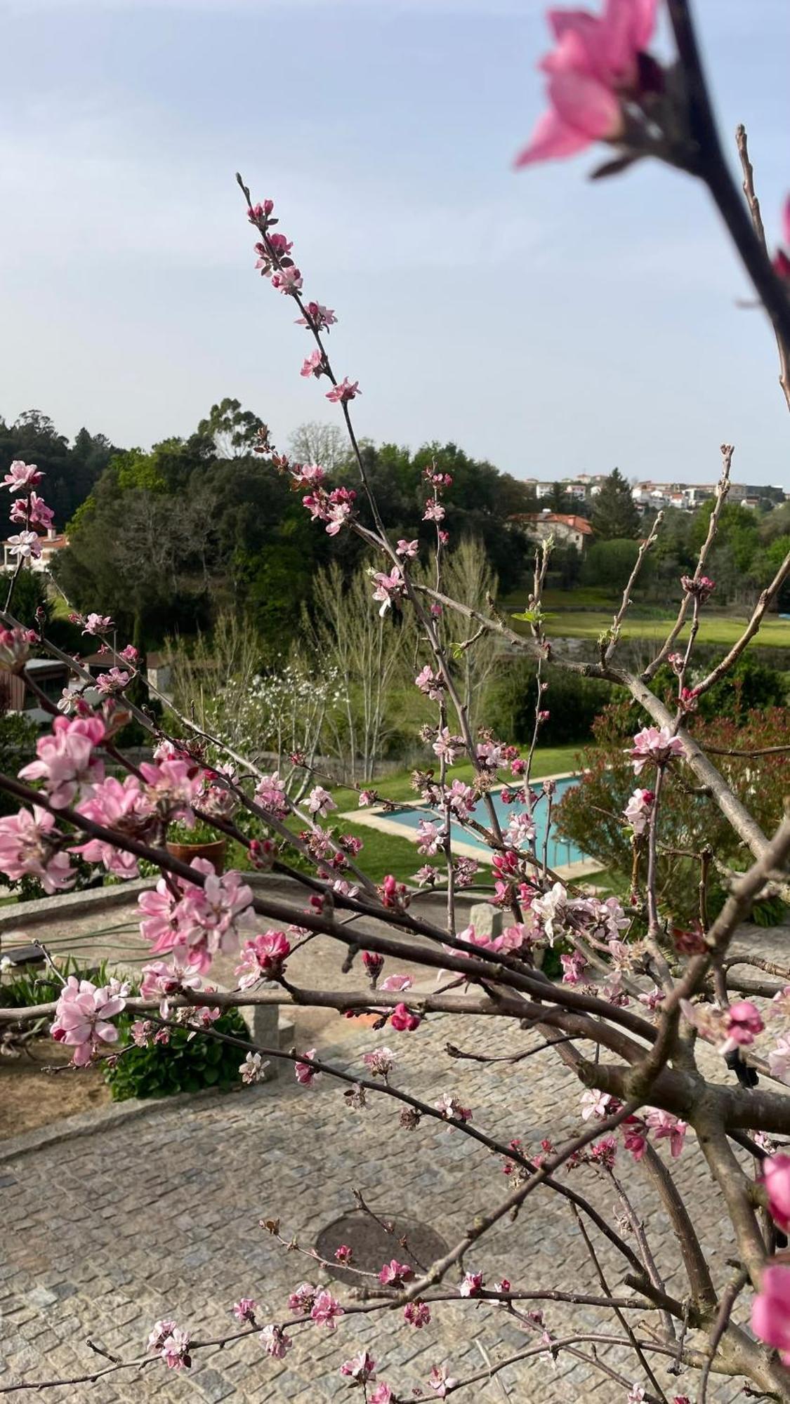 Quinta De Villasete Alpendurada Zewnętrze zdjęcie
