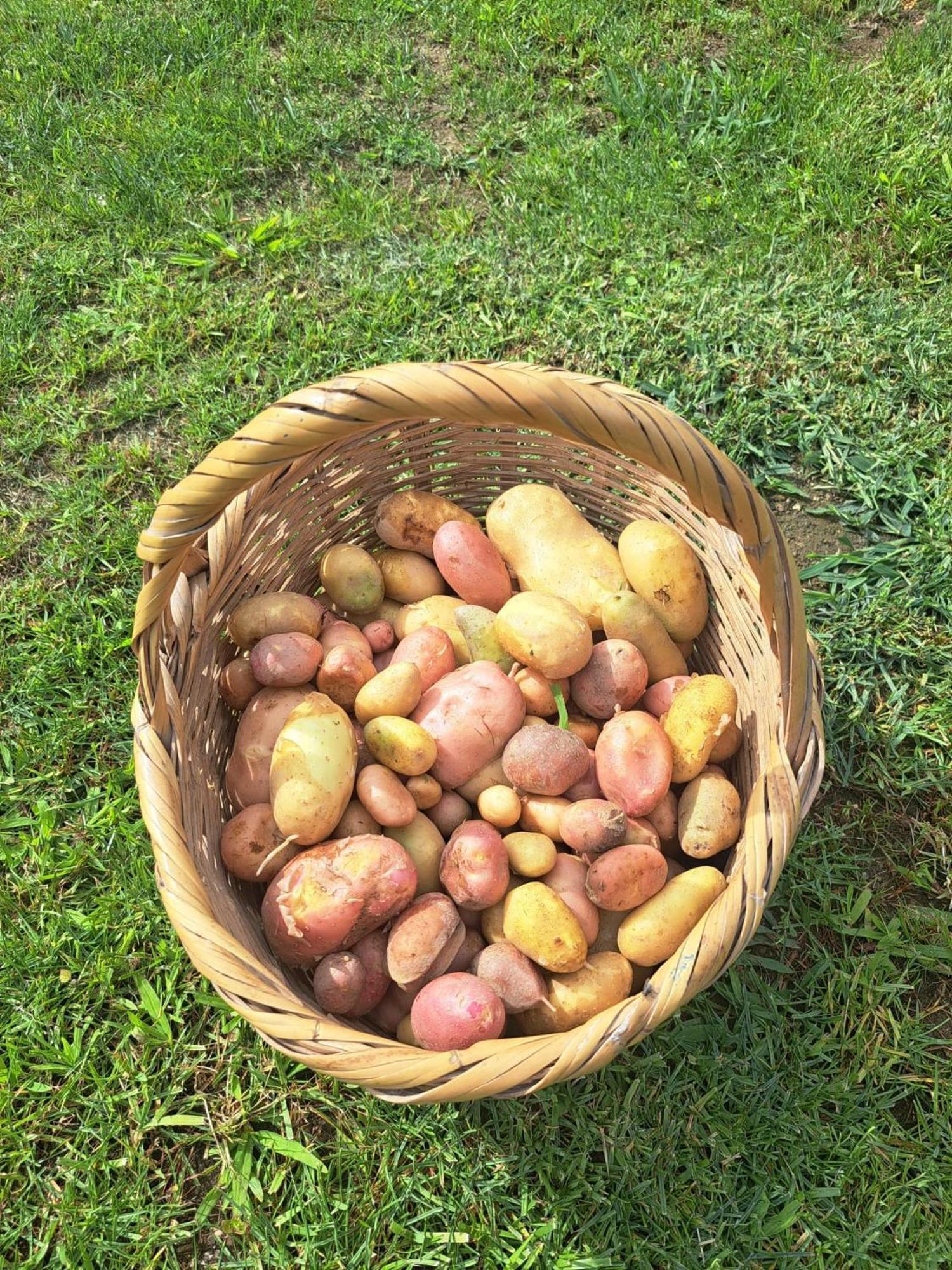 Quinta De Villasete Alpendurada Zewnętrze zdjęcie