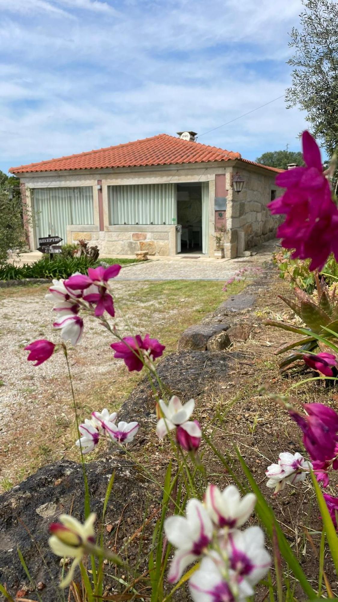 Quinta De Villasete Alpendurada Zewnętrze zdjęcie