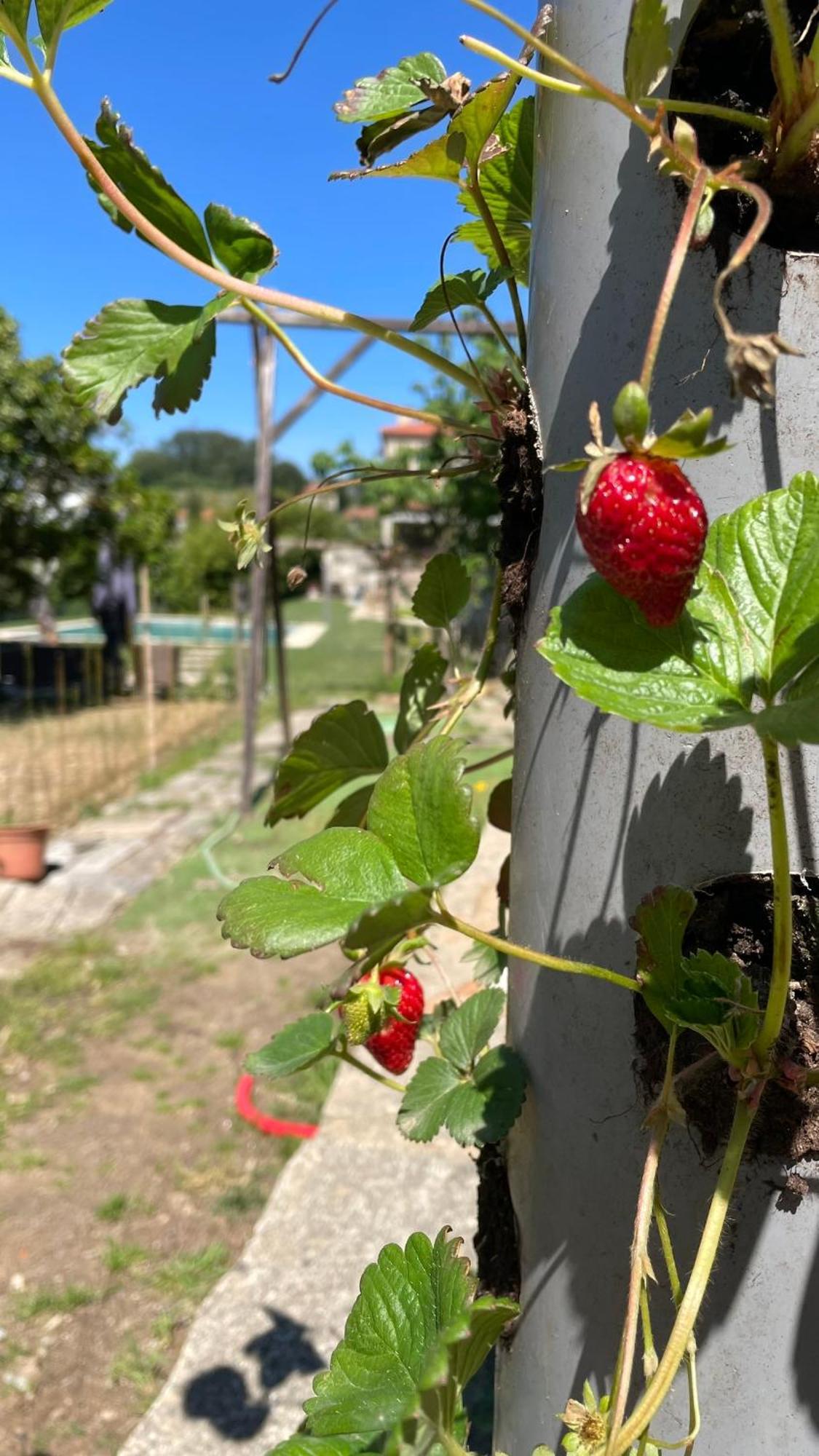 Quinta De Villasete Alpendurada Zewnętrze zdjęcie