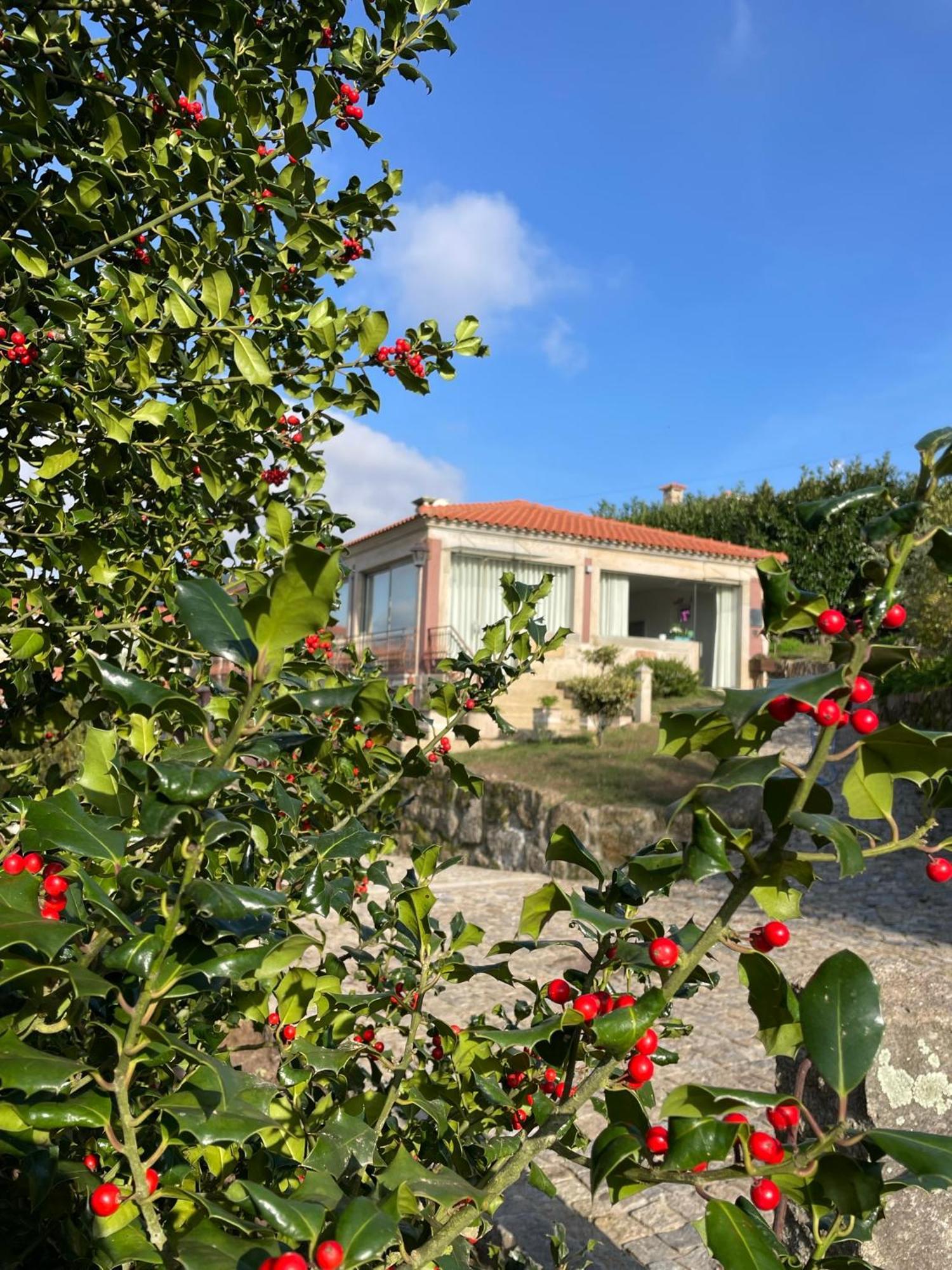 Quinta De Villasete Alpendurada Zewnętrze zdjęcie