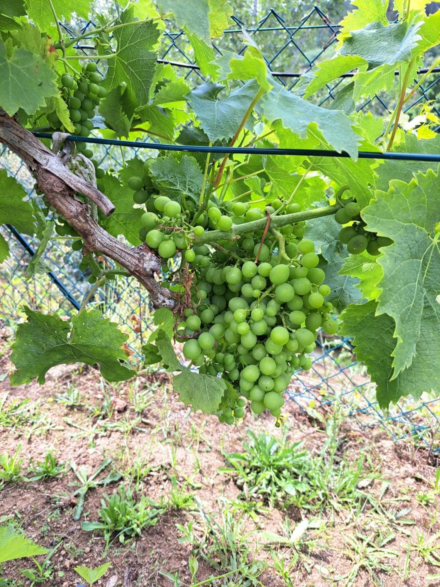 Quinta De Villasete Alpendurada Zewnętrze zdjęcie