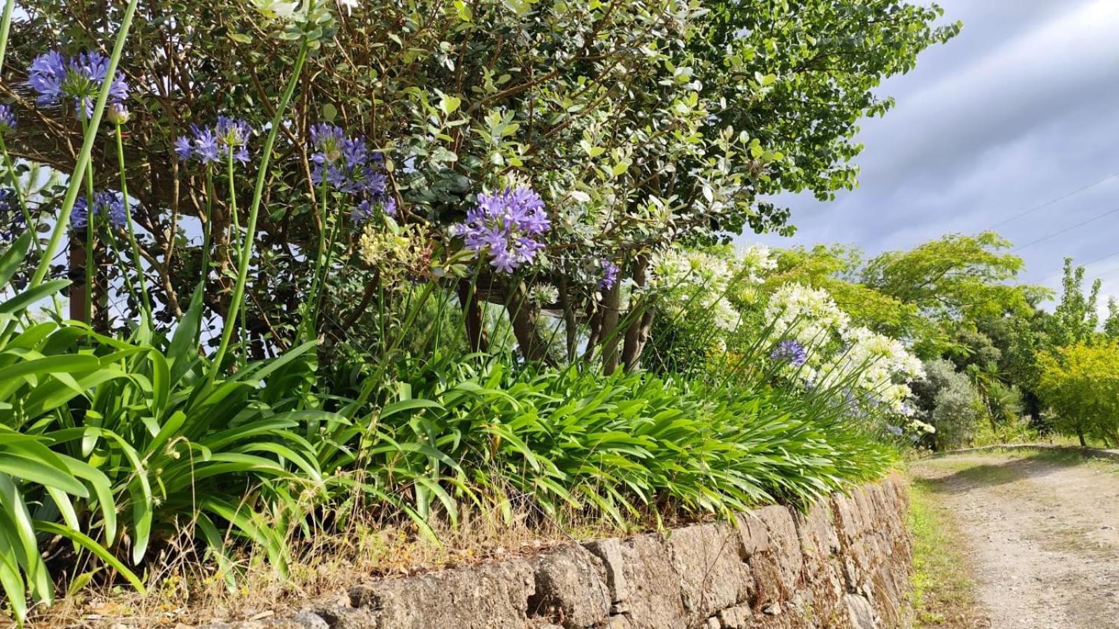 Quinta De Villasete Alpendurada Zewnętrze zdjęcie