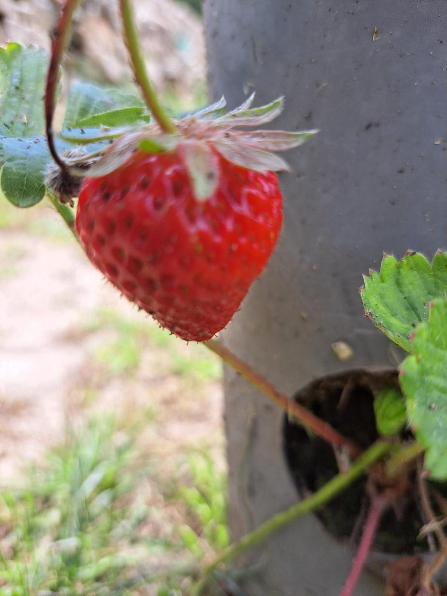 Quinta De Villasete Alpendurada Zewnętrze zdjęcie